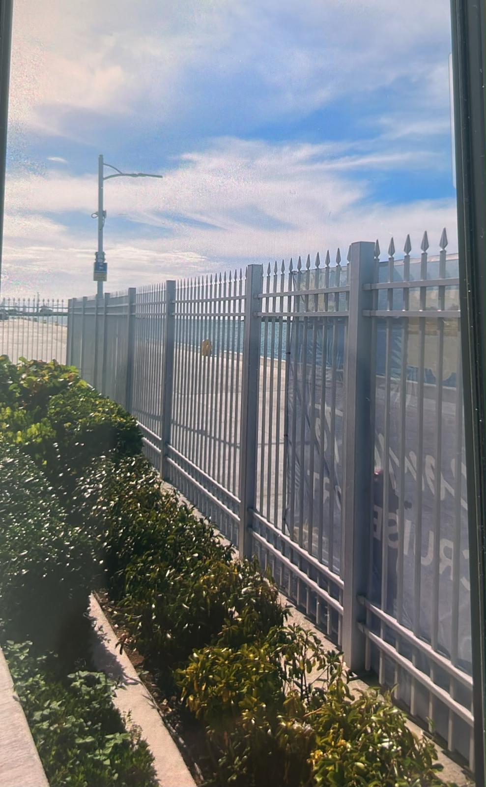Aluminiumzaun mit Speerspitzen und Bepflanzung im Kreuzfahrthafen von Nassau